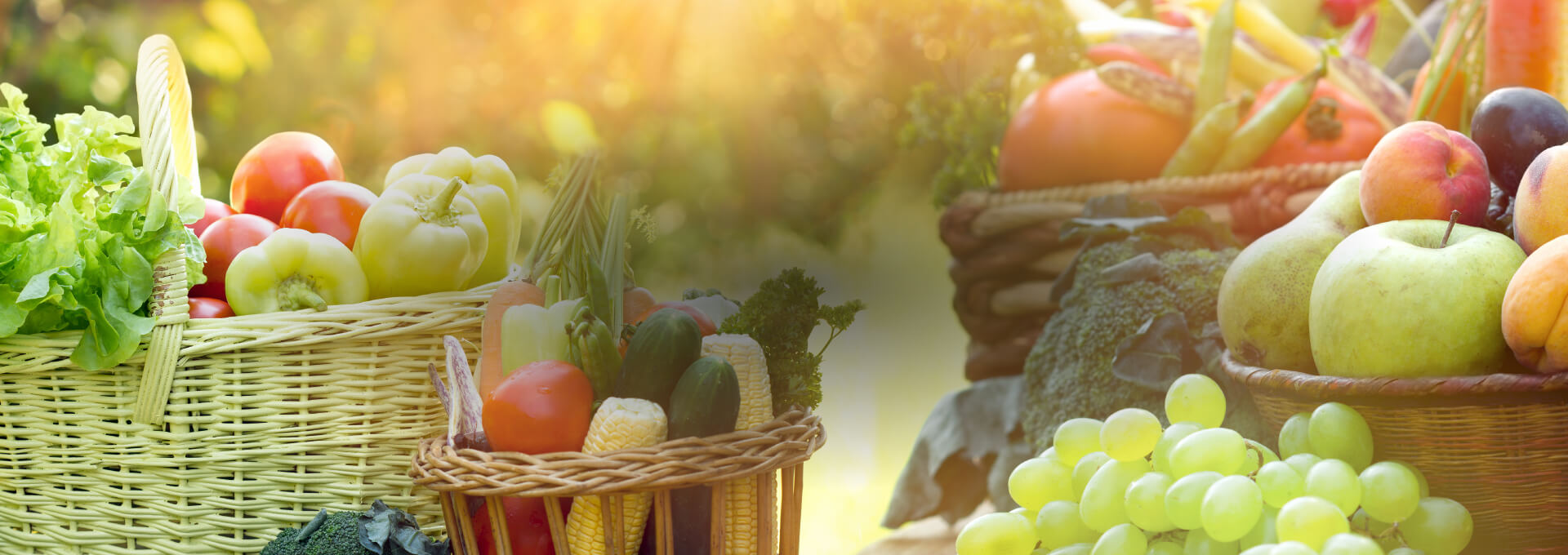 FMK_Website_Slider-PreciosDeFeria-fondo
